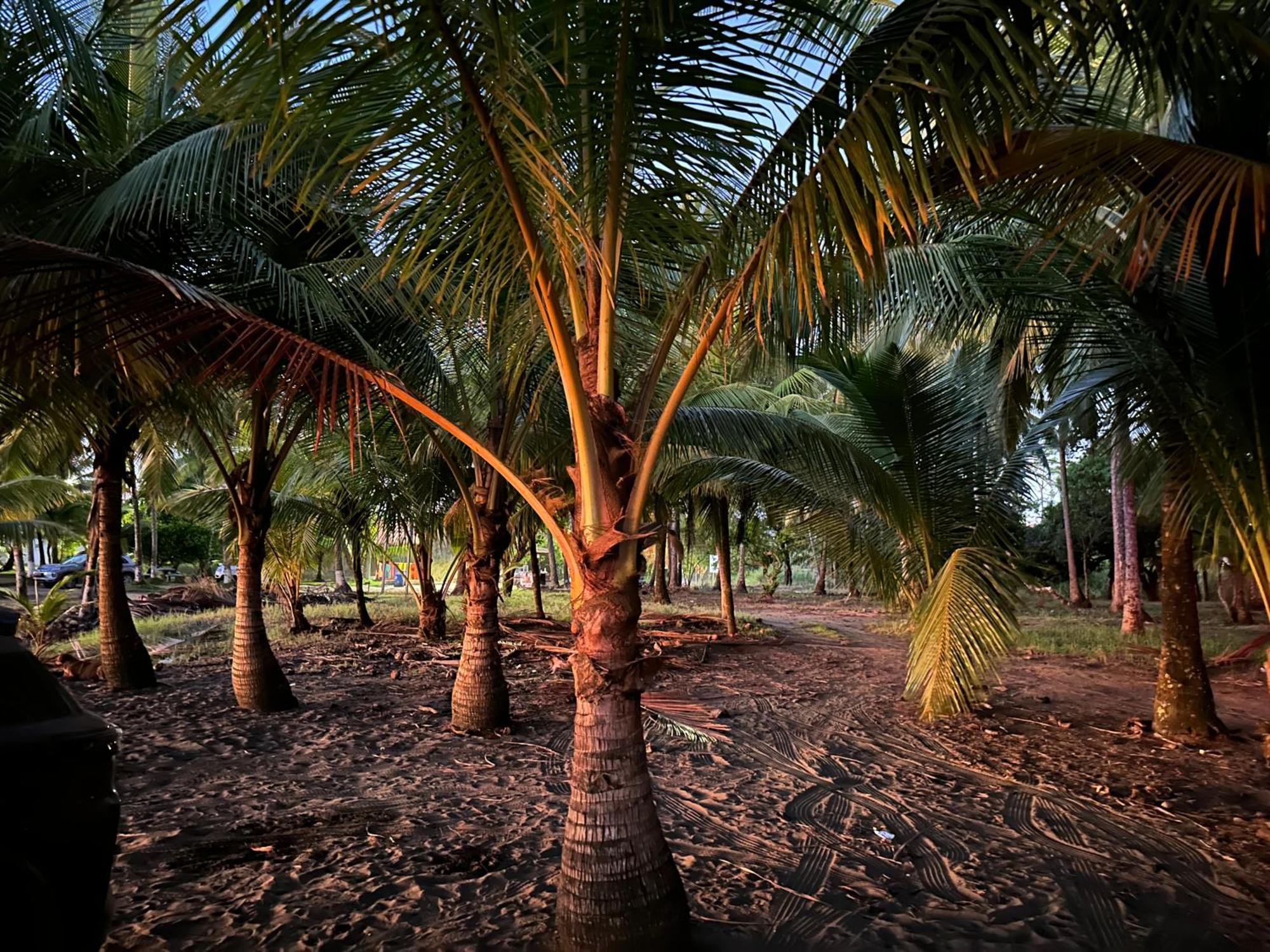 Casa Paraiso Tropical Parrita Eksteriør billede